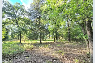 Lot 377 Timber Ridge, LaRue, TX 75770 - Photo 5