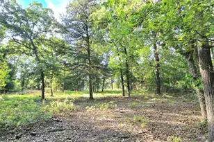 Lot 377 Timber Ridge, LaRue, TX 75770 - Photo 5
