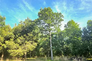 Lot 377 Timber Ridge, LaRue, TX 75770 - Photo 1
