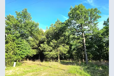 Lot 377 Timber Ridge, LaRue, TX 75770 - Photo 39