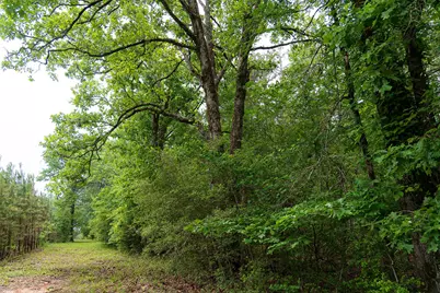 0 Cr 152, Carthage, TX 75633 - Photo 19