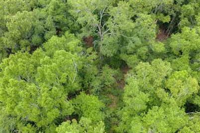 0 Cr 152, Carthage, TX 75633 - Photo 27
