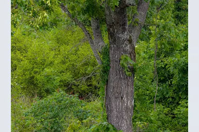 0 Cr 152, Carthage, TX 75633 - Photo 23