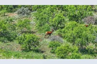 6025 Fm 504, Lohn, TX 76852 - Photo 33