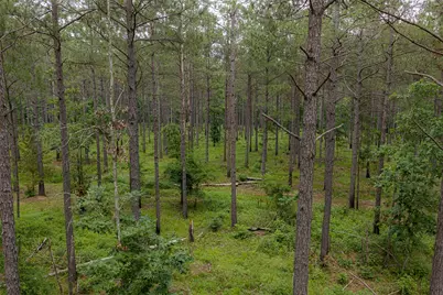 0 Cr 155, Long Branch, TX 75669 - Photo 29