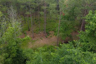 0 Cr 155, Long Branch, TX 75669 - Photo 23