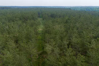 0 Cr 155, Long Branch, TX 75669 - Photo 21