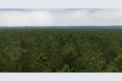 0 Cr 155, Long Branch, TX 75669 - Photo 13