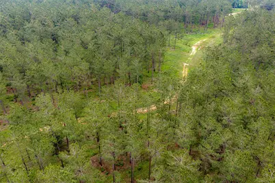 0 Cr 155, Long Branch, TX 75669 - Photo 37