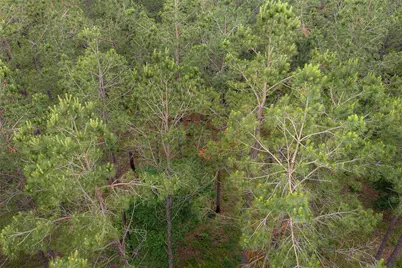 0 Cr 155, Long Branch, TX 75669 - Photo 31