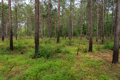 0 Cr 155, Long Branch, TX 75669 - Photo 27