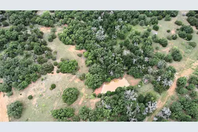 2701 Live Oak Road, Santo, TX 76472 - Photo 23