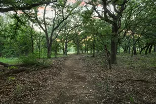 435 Timber Ridge Lake Rd, Graham, TX 76450 - Photo 39