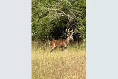 524 Fm 1848, Buffalo, TX 75831 - Photo 15
