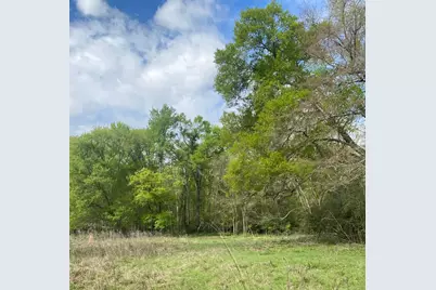 524 Fm 1848, Buffalo, TX 75831 - Photo 13