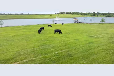501 Alsdorf Road, Ennis, TX 75119 - Photo 7
