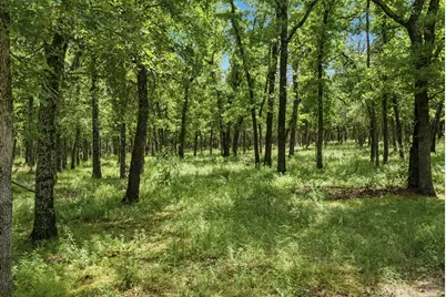 148 Arista Trail, Poolville, TX 76487 - Photo 39