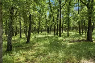 148 Arista Trail, Poolville, TX 76487 - Photo 39