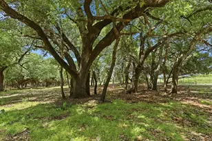148 Arista Trail, Poolville, TX 76487 - Photo 37