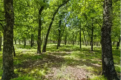 148 Arista Trail, Poolville, TX 76487 - Photo 39