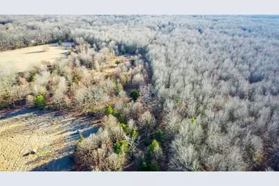 1200 County Road 1255, Detroit, TX 75436 - Photo 11