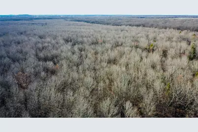 1200 County Road 1255, Detroit, TX 75436 - Photo 29