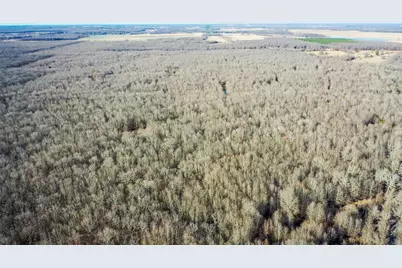 1200 County Road 1255, Detroit, TX 75436 - Photo 31