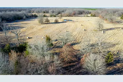 1200 County Road 1255, Detroit, TX 75436 - Photo 7