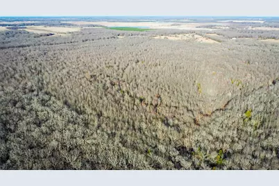 1200 County Road 1255, Detroit, TX 75436 - Photo 13