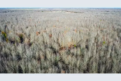 1200 County Road 1255, Detroit, TX 75436 - Photo 15