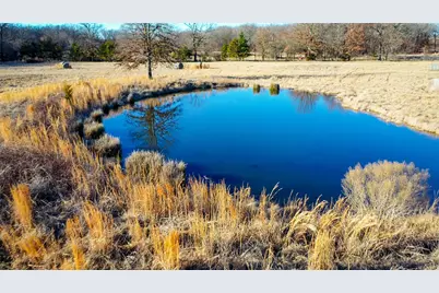 1200 County Road 1255, Detroit, TX 75436 - Photo 9