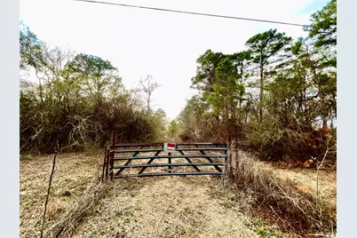 00 Pine Street, Heflin, LA 71039 - Photo 11