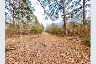 00 Pine Street, Heflin, LA 71039 - Photo 9