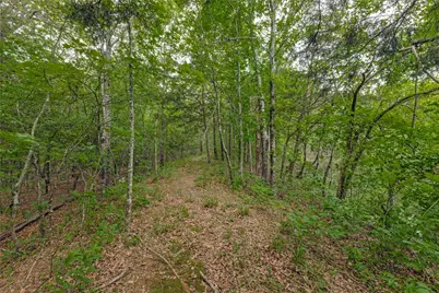 494 County Road 4589, Sulphur Springs, TX 75482 - Photo 3