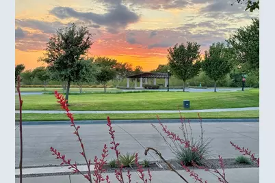 4428 Sunflower Lane, Celina, TX 75078 - Photo 3