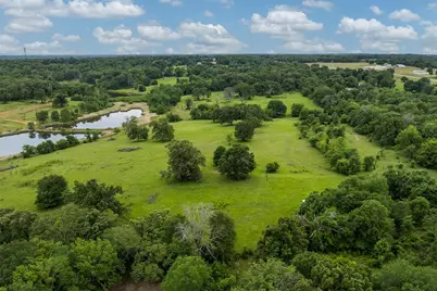 5520 County Road 1502, Athens, TX 75751 - Photo 9