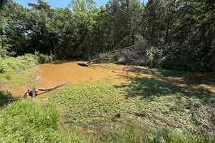 3700 Co Rd 4040, Whitewright, TX 75491 - Photo 9