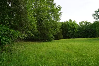 Tbd2 County Road 1200, Malakoff, TX 75148 - Photo 25