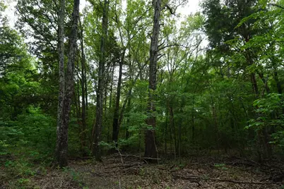 Tbd2 County Road 1200, Malakoff, TX 75148 - Photo 3