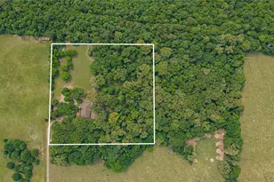 2787 Fm 250 N, Hughes Springs, TX 75656 - Photo 35