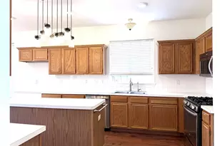 10109 Samantha Dr, Frisco, TX 75035 - Photo 9