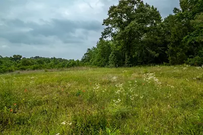 23050 County Road 244, Overton, TX 75684 - Photo 15