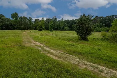 23050 County Road 244, Overton, TX 75684 - Photo 11