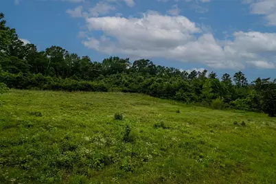 23050 County Road 244, Overton, TX 75684 - Photo 13