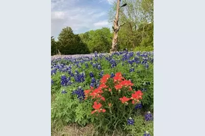821 Ewing Road, Ferris, TX 75125 - Photo 37
