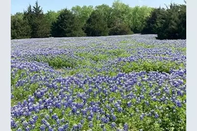 821 Ewing Road, Ferris, TX 75125 - Photo 1