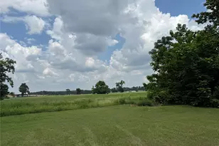 1014 Greenwood St, Winnsboro, TX 75494 - Photo 25