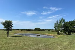2901 Wind Mill Ct, Tolar, TX 76476 - Photo 37