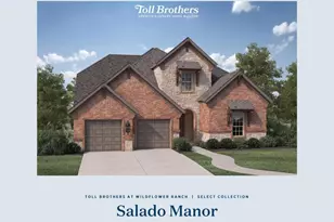 632 Rosemallow Wy, Fort Worth, TX 76247 - Photo 19