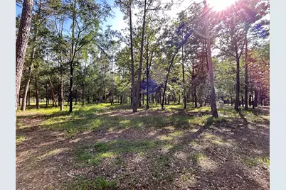 3236 Farm Road 3019, Winnsboro, TX 75494 - Photo 7